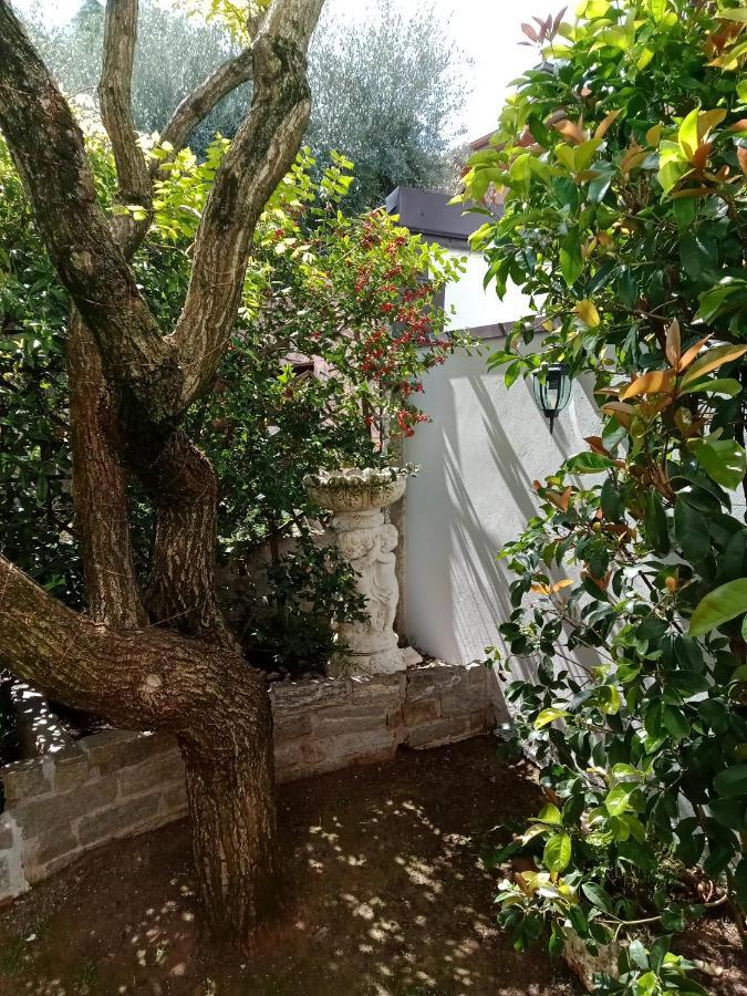 B&B Il Cantuccio Desenzano del Garda Zewnętrze zdjęcie